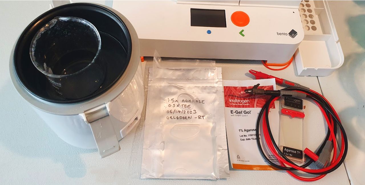 A rice cooker, pre-cast agarose gel, an E-Gel, and crocodile clips and cables with a Bento Lab on a table