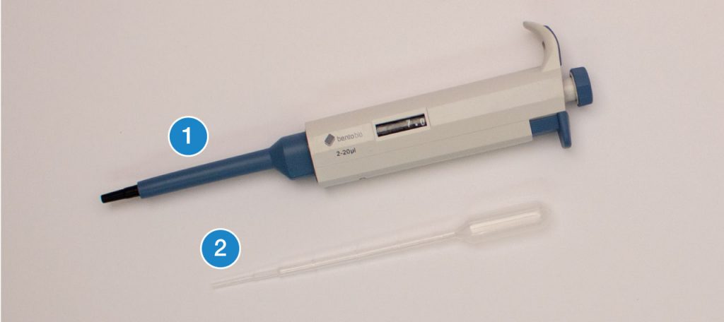 biotechnology-101-guide-introduction-to-pipetting-bento-lab