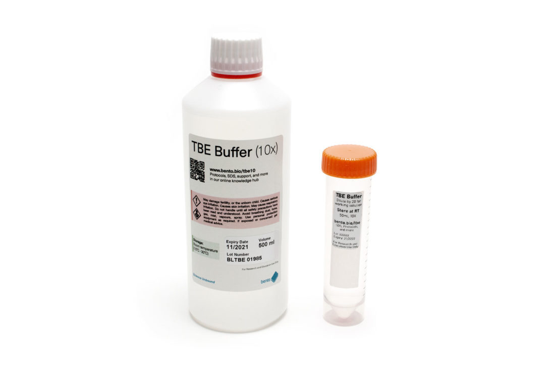 western-blot-sds-page